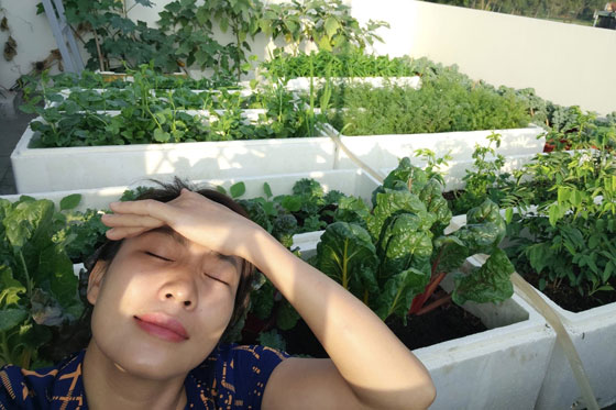 Cô gái ở Bình Dương trồng rau sân thượng để chữa lành muộn phiền cuộc sống