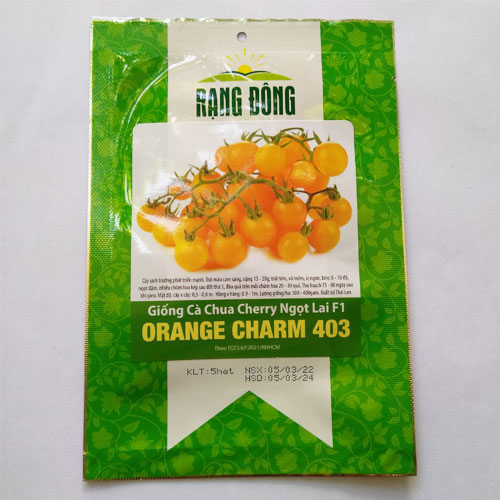 Giống cà chua cherry ngọt lai f1 orange charm 403